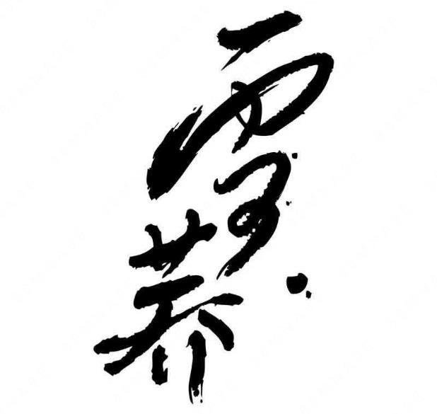 深圳恒峰投资有限公司“雪荞”商标注册无效宣告请求案例分析