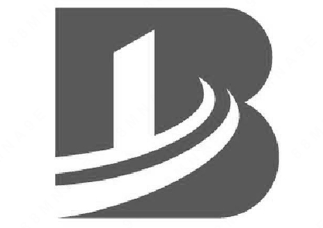 步毅（上海）供应链管理有限公司第24299238图形商标注册案例分析